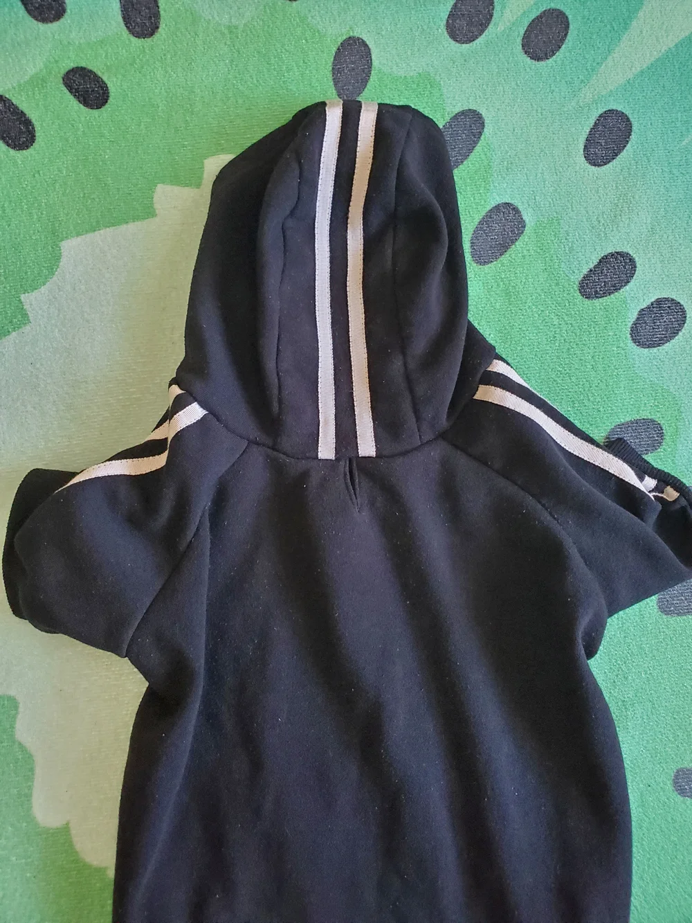 Puppy Black Street Hoodie For Small/Medium Dogs
